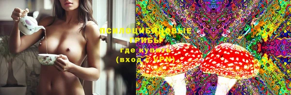 прущая мука Чердынь