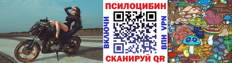 Псилоцибиновые грибы MAGIC MUSHROOMS  Электрогорск 