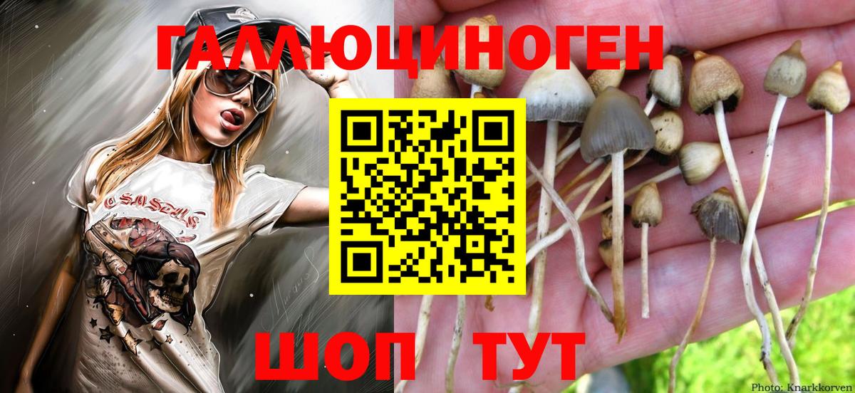 Галлюциногенные грибы Magic Shrooms Электрогорск