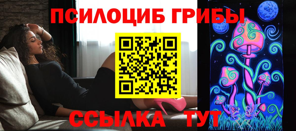 наркота  Электрогорск  Псилоцибиновые грибы MAGIC MUSHROOMS 