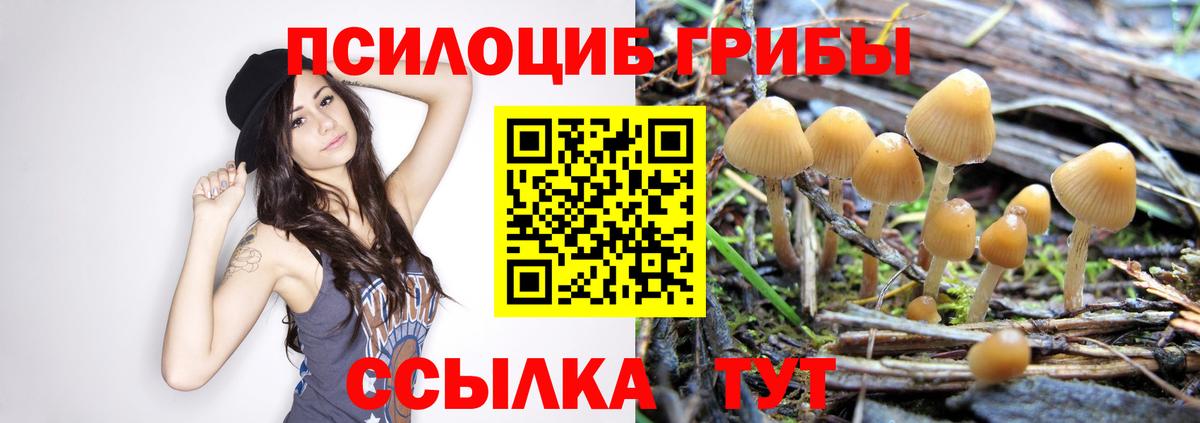 Псилоцибиновые грибы ЛСД Электрогорск