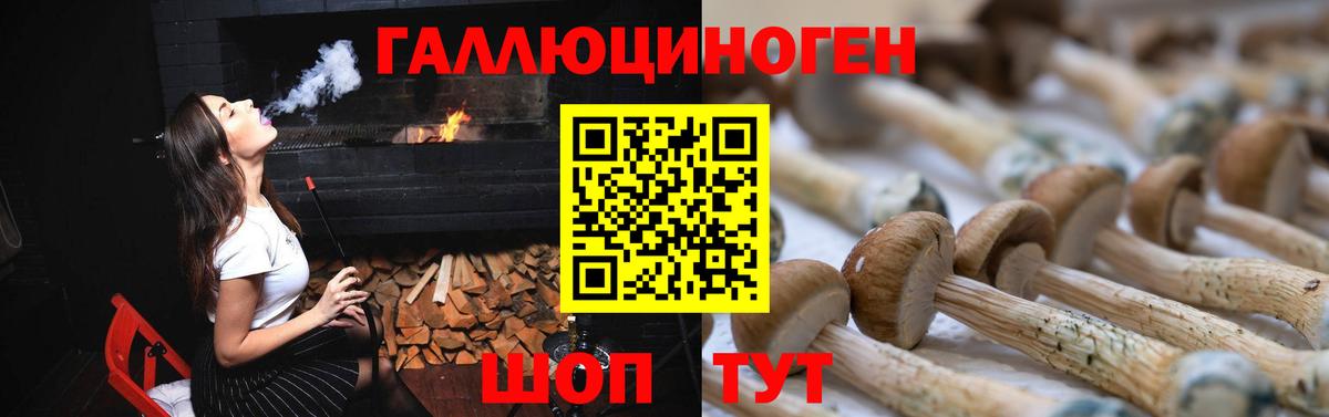 Псилоцибиновые грибы MAGIC MUSHROOMS  Вход с VPN  Электрогорск  Псилоцибиновые грибы Psilocybe 